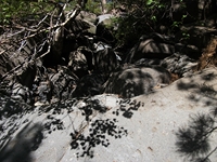 rrente Quarantore-20110911 090
